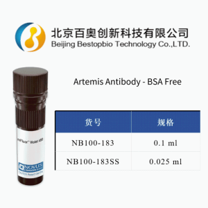 Novus Artemis兔多抗(NB100-183)現貨供應
