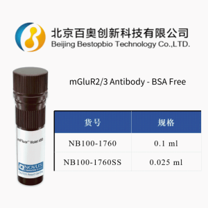 Novus mGluR2/3兔多抗(NB100-1760)現貨供應