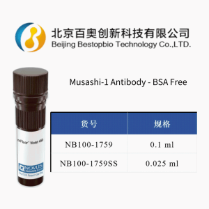 Novus MSI-1兔多抗(NB100-1759)現貨供應