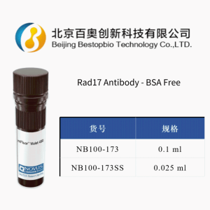 Novus RAD17 兔多抗(NB100-173)現貨供應