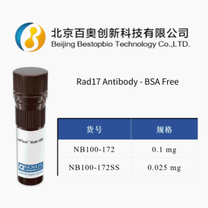 Novus RAD17 兔多抗(NB100-172)現貨供應