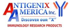 Antigenix産品