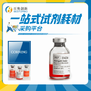 Corning基質膠供應