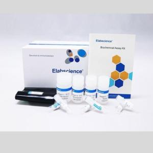 Elabscience活性氧(ROS)熒光法測試盒(E-BC-K138-F)現貨供應