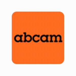abcam山羊源Iba1多抗(ab5076)